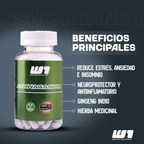 Ashwagandha 60 cápsulas